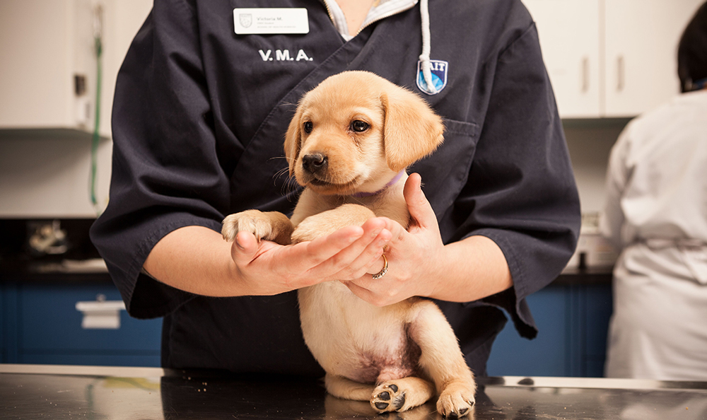 School of Health and Life Sciences NAIT